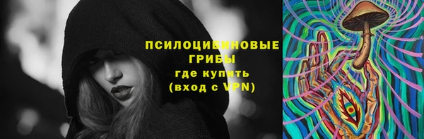 шишки Ачинск
