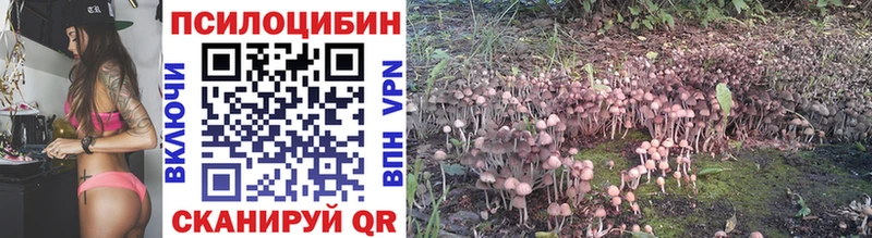 Псилоцибиновые грибы GOLDEN TEACHER  Болохово 
